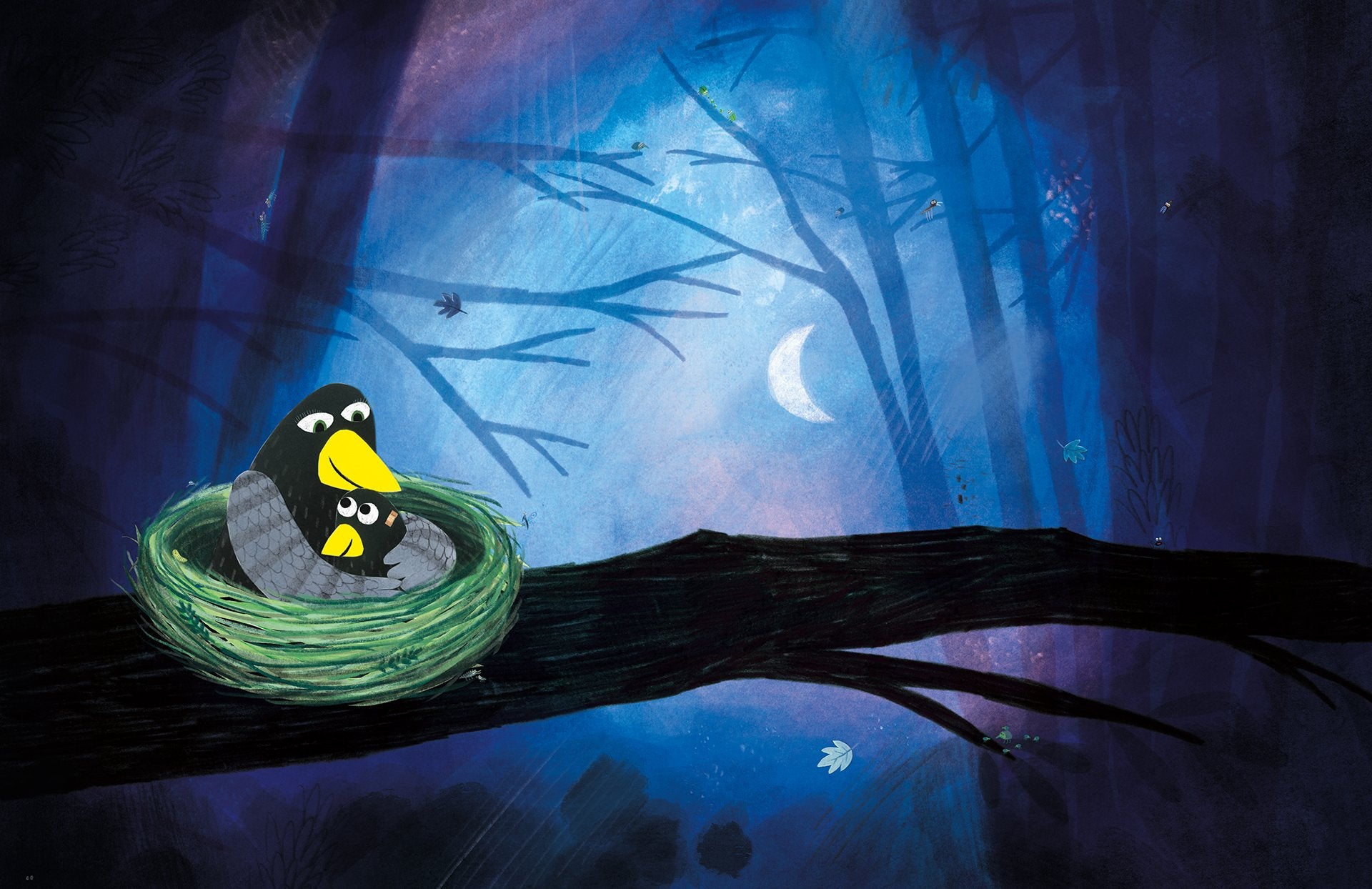 Coco kan het! - Boek - Prentenboek – Loes Riphagen